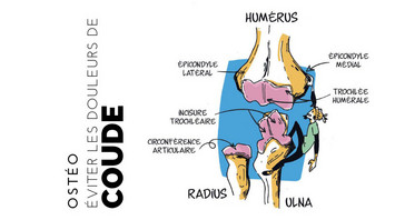 coudes - copie 1